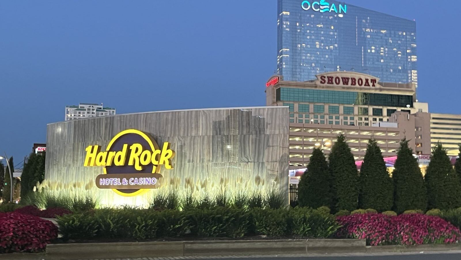 Economic Divide and the Vice Industry: Who Suffers and Who Thrives?